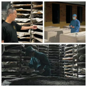 韩国总统李在明访华,走进韩国制茶人金容纹20多年的中华情缘与全球梦近日